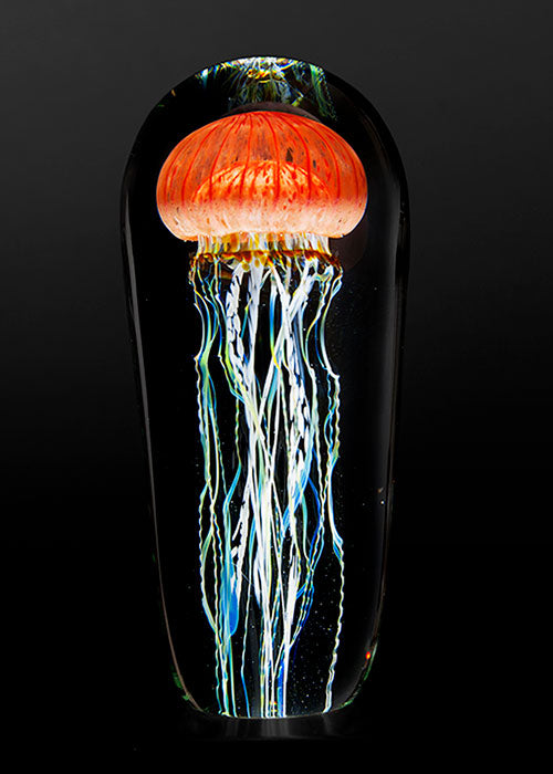 JELLYFISH　コンポート　アンティーク Pacific Coast Jellyfish – Satava Art Glass