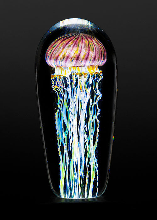 Purple Ribbed Jellyfish – Satava Art Glass