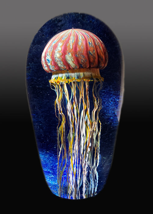 Purple Ribbed Jellyfish Seascape