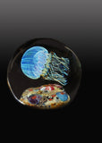 Moon Side Swimmer Jellyfish
