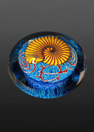 Gold Nautilus on Sapphire Paperweight