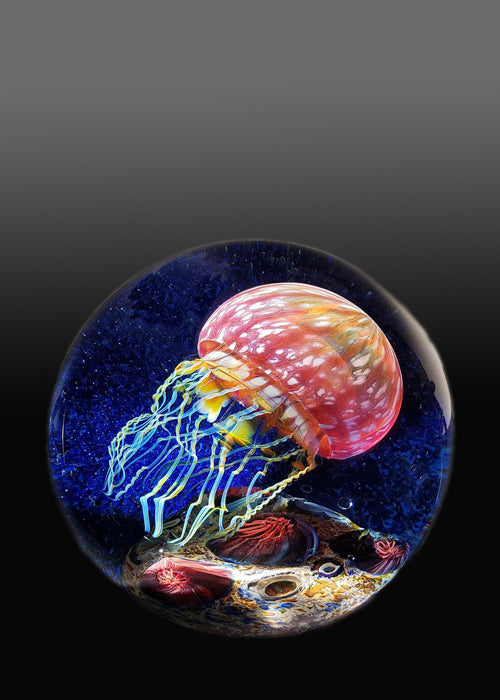 Gold Ruby Side Swimmer Seascape Jellyfish