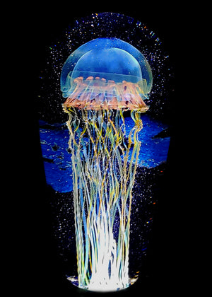Moon Jellyfish Seascape