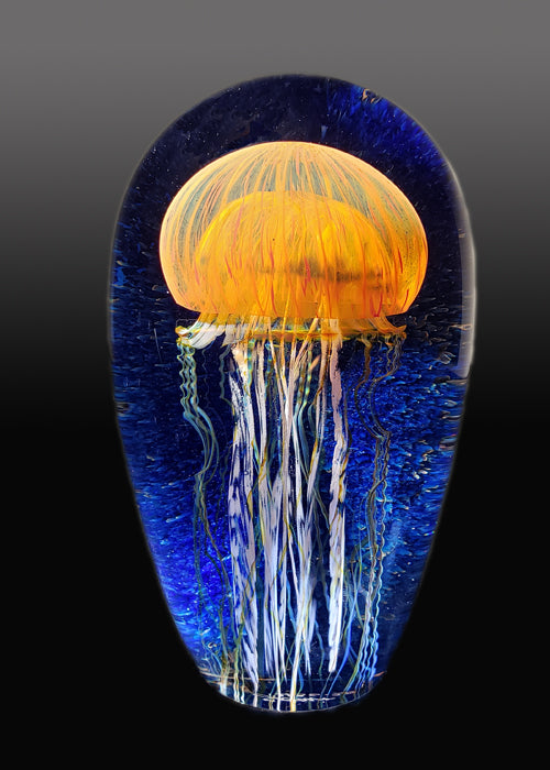 Pacific Coast Jellyfish Seascape