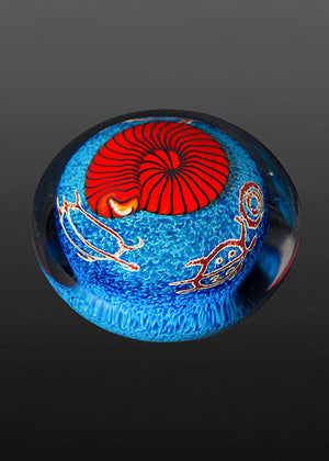 Red Nautilus on Sapphire Paperweight