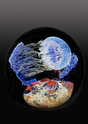 Magnum Moon Side Swimmer Seascape Jellyfish