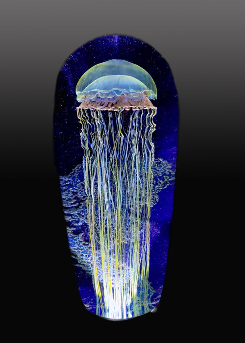 Magnum Moon Seascape Jellyfish